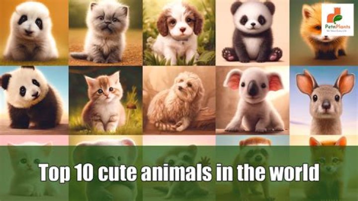 10 ý tưởng cutest animal crossing island names cho ngôi đảo của bạn
