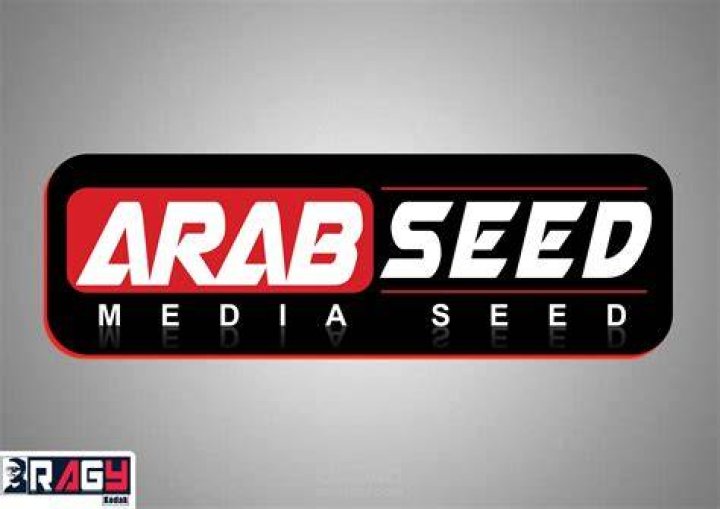 موقع &lrm;عرب سيد ArabSeed