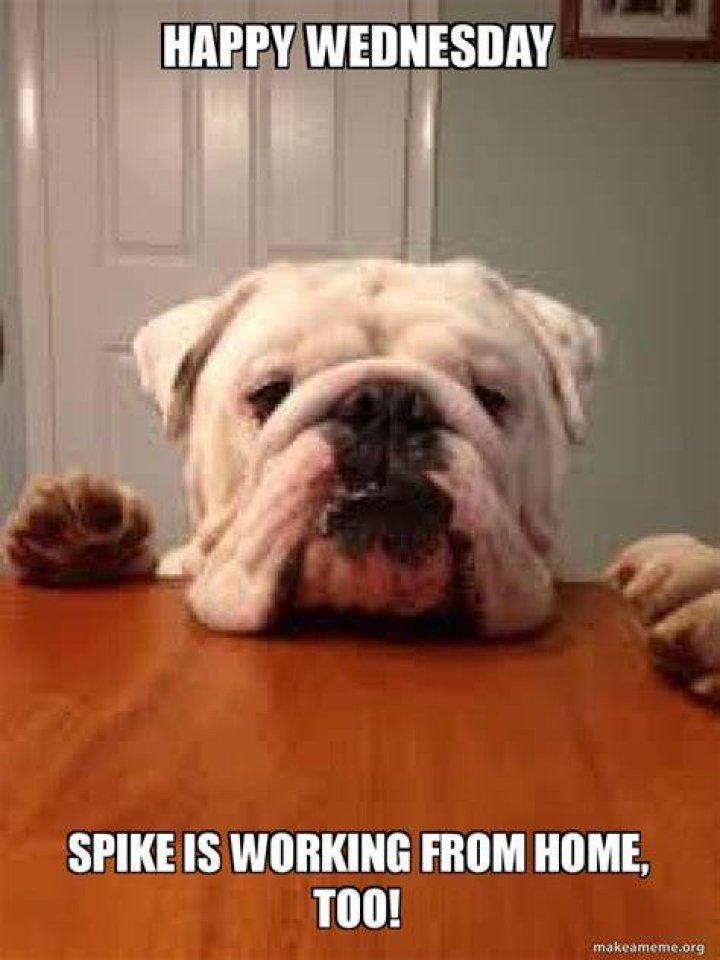 44 Amusing Wednesday Work Memes Images & Pictures PICSMINE
