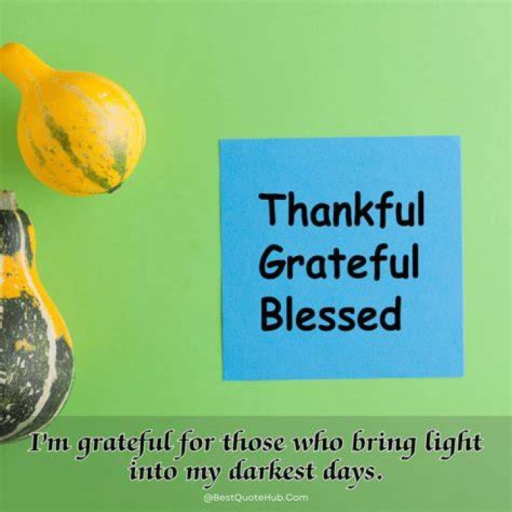 70+ Thankful Quotes to Bring The Light of Thankfulness Into Your Life
