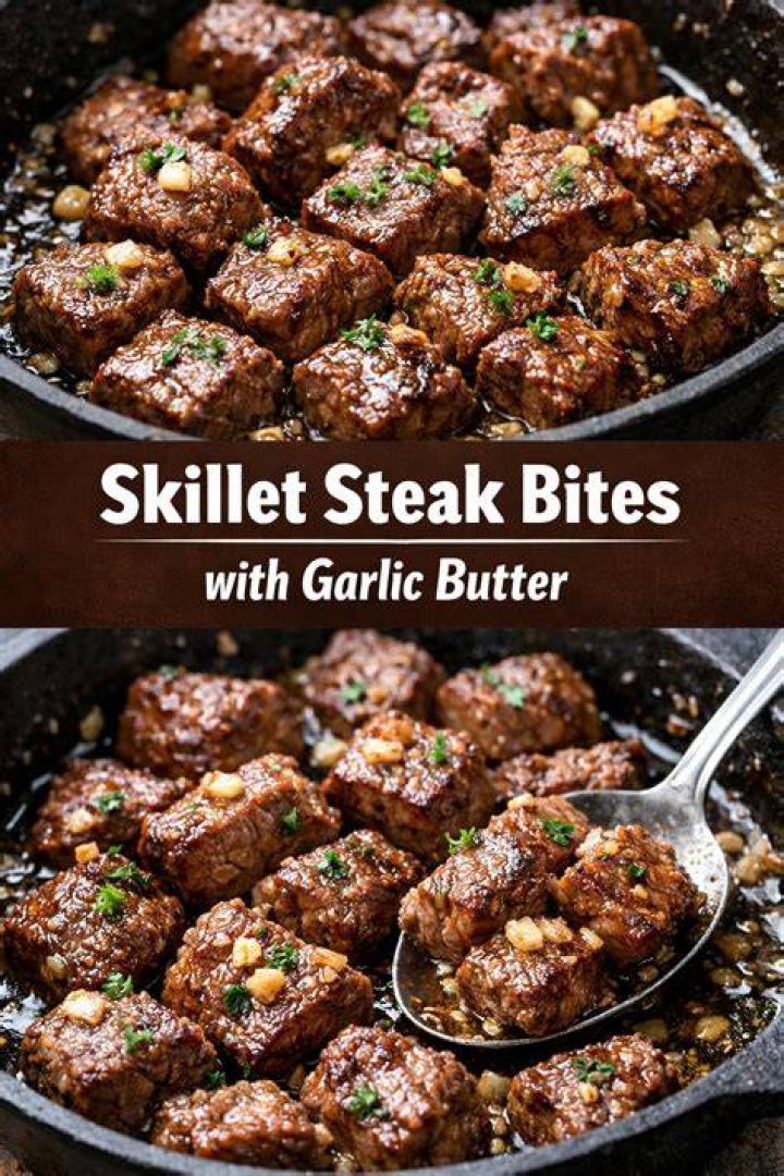 A Guide To The Best Bites
