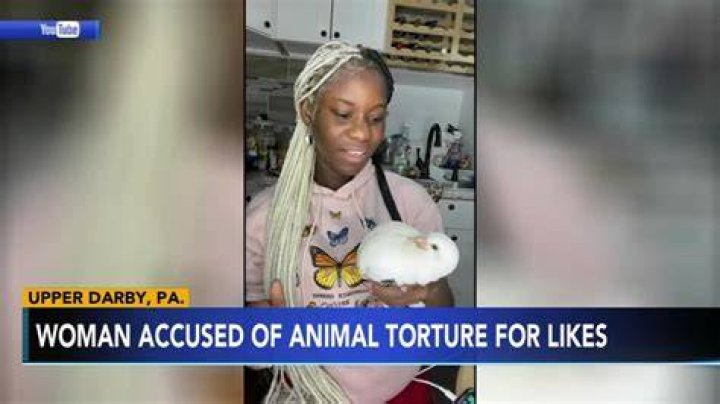 Aniger Monsee, of Upper Darby, charged with torturing animals on YouTube