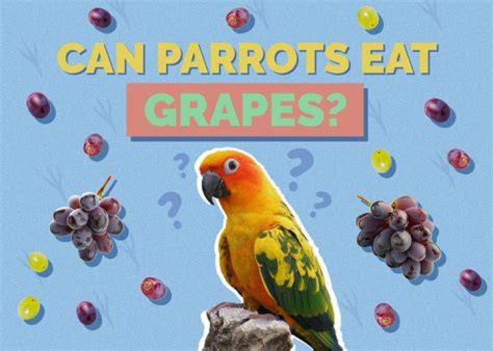 Are grapes toxic to parrots?