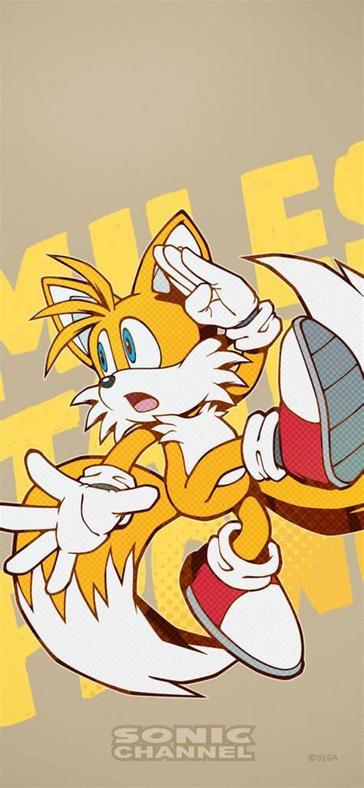 Artwork of Tails from the Japanese manual of... Sonic The Hedgeblog