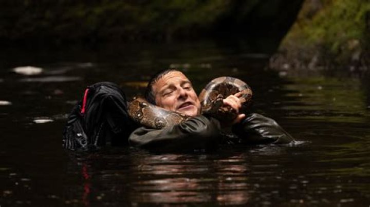 Bear Grylls recalls neardeath fight with eightfoot snake