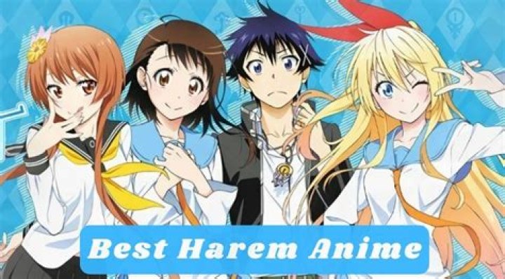 Best Harem Anime List Anime With Multiple Women