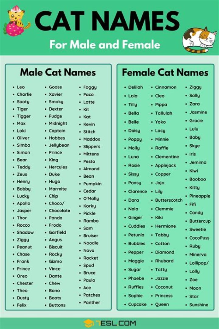 Cat Names 70+ Most Popular Male and Female Cat Names &bull; 7ESL