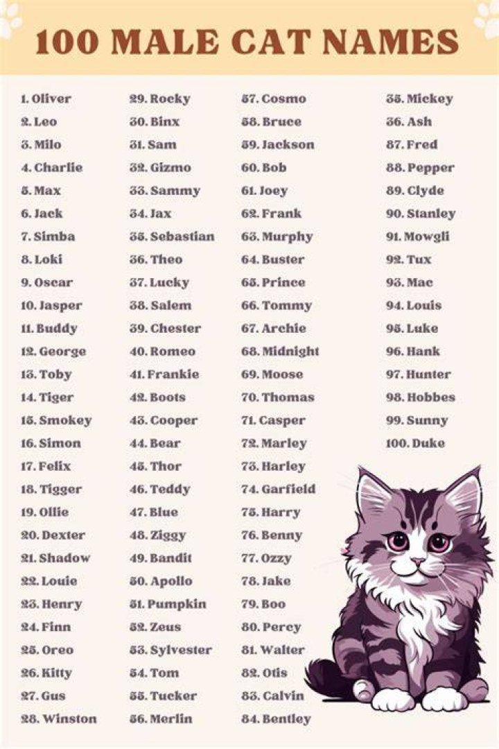 Cat Names Male Unique