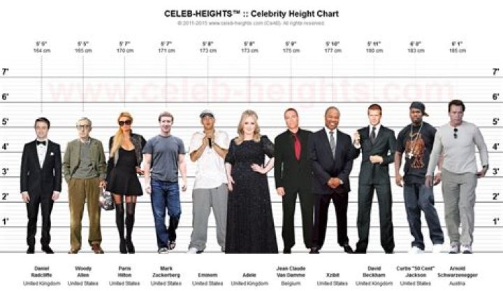Celebrity Heights How Tall Are Celebrities? Heights of Celebrities