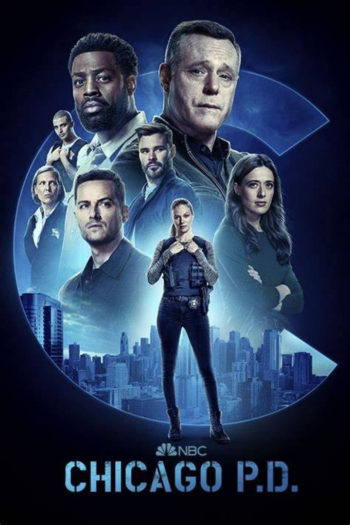 Chicago PD Season [DVD] [2020] thereasontohope.or.ke