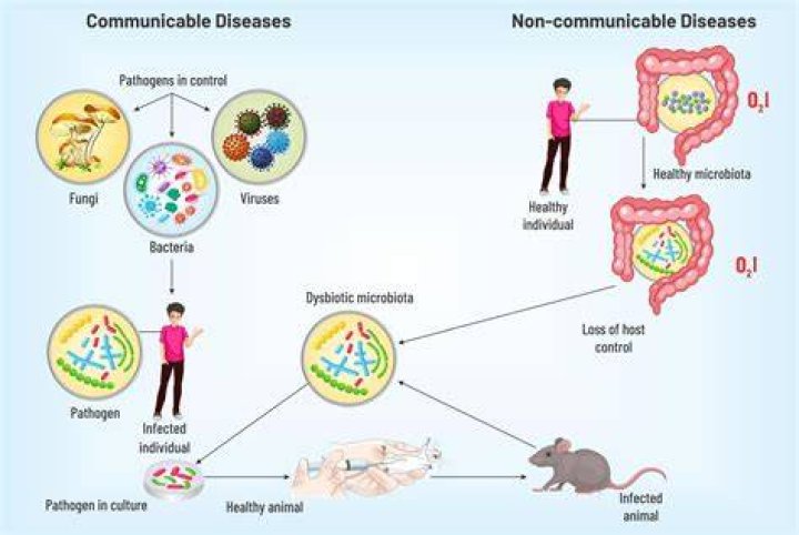 Connect directly with communicable disease experts through new site