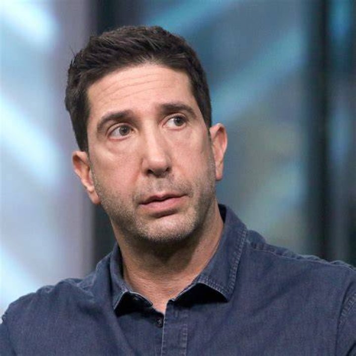 David Schwimmer's Net Worth: Surprising Fortune