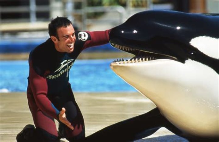Dawn Brancheau Cause Of Death, SeaWorld Trainer, Husband, Age, Net Worth
