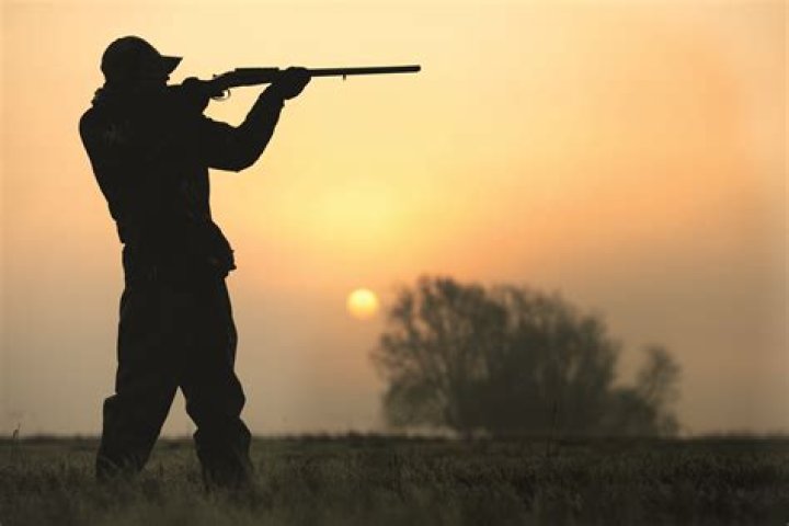 Defending Hunting It's Good for Humans and the Environment National