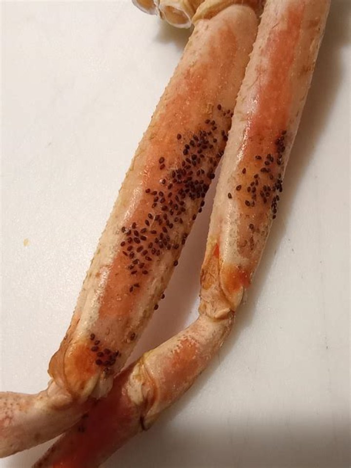 Do crab legs have parasites?