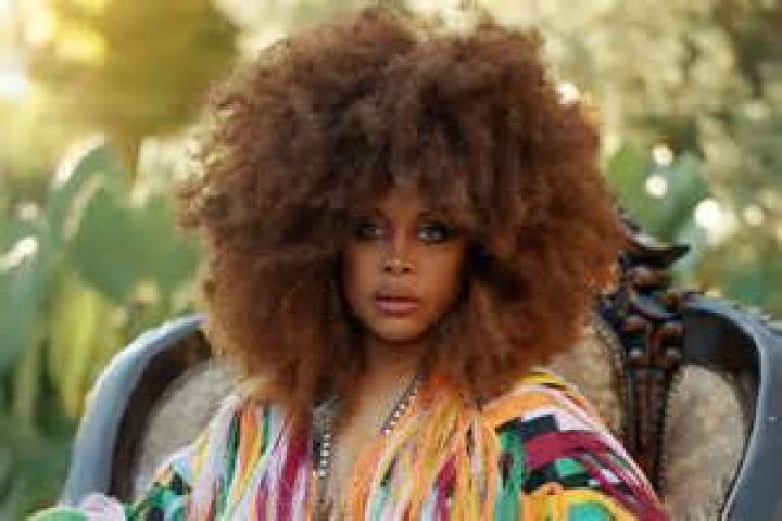 Erykah Badu Affair, Height, Net Worth, Age, Career, and More