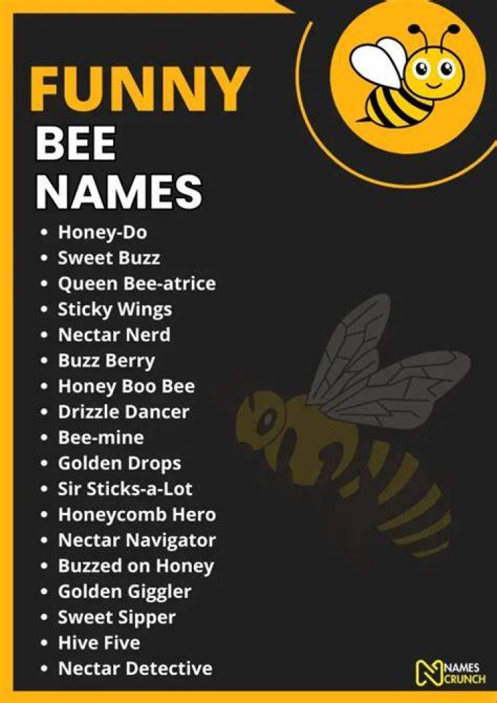 Funny Bee Names (250+ Buzzworthy Ideas) Names Crunch