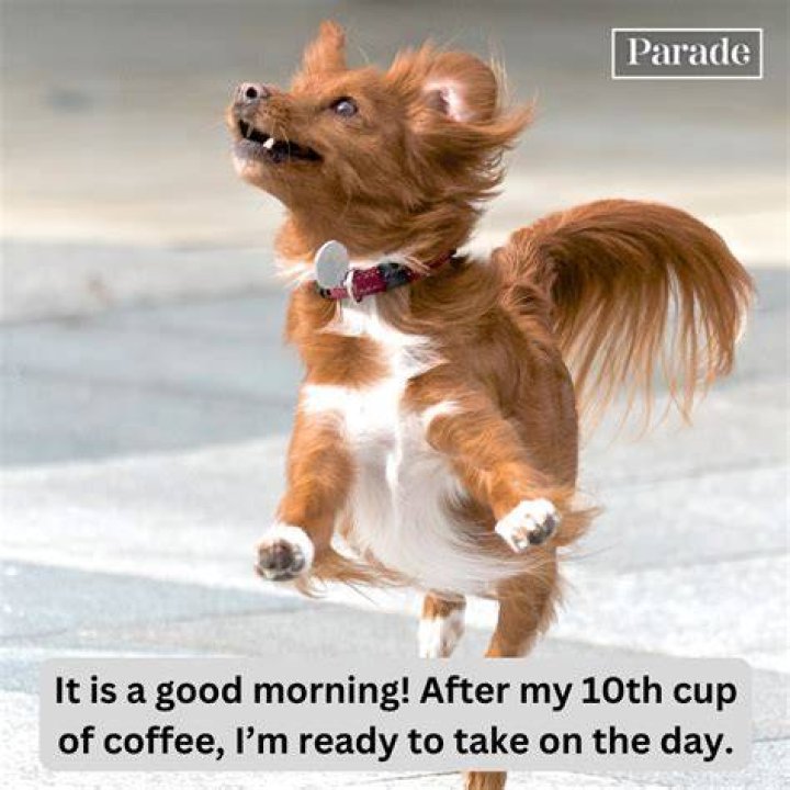 Funny Pictures Of The Day 70 Pics Confucius say, Confucius quotes