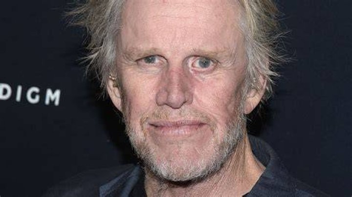 Gary Busey's Son Is Mike Bosey Related to Gary Busey? Father son