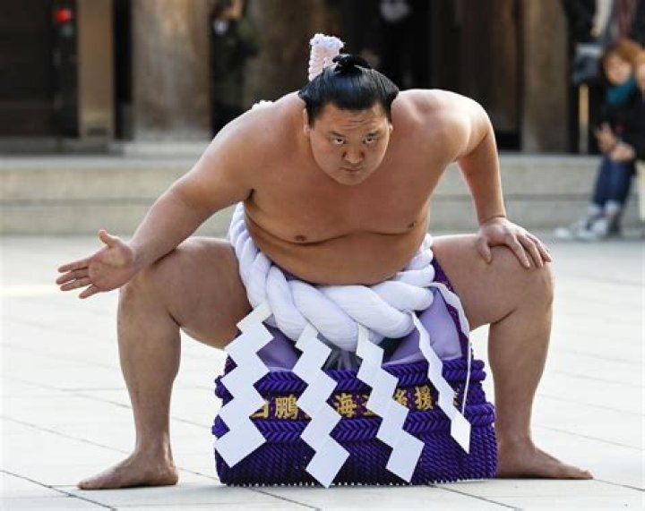 Hakuho, sumo's recordsetting yokozuna, to retire The Japan Times