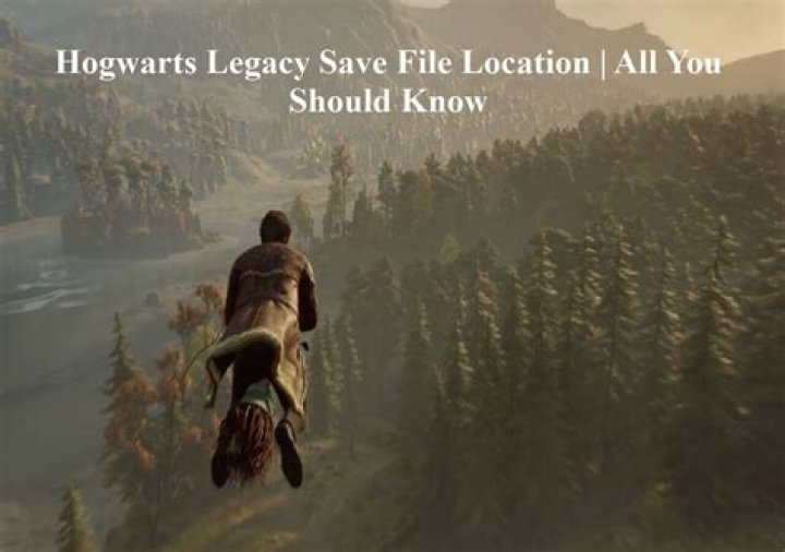 Hogwarts Legacy How to Save a Phoenix Arizona News