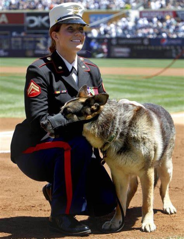 Honors for Iraq vet, K9 portrayed in film &lsquo;Megan Leavey&rsquo;