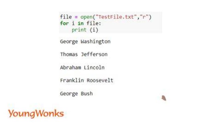 How do you run a text file in Python?