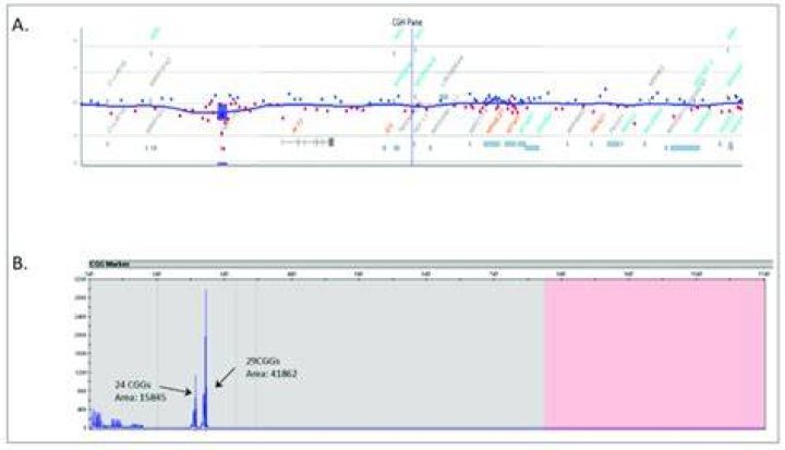 How is gene deletion detected?