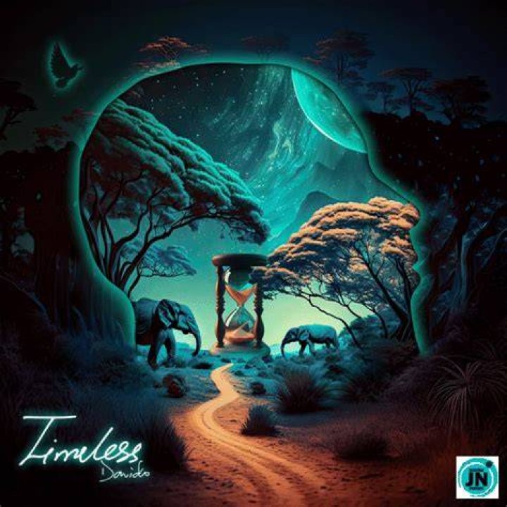 How making &lsquo;Timeless&rsquo; album healed me &mdash; Davido