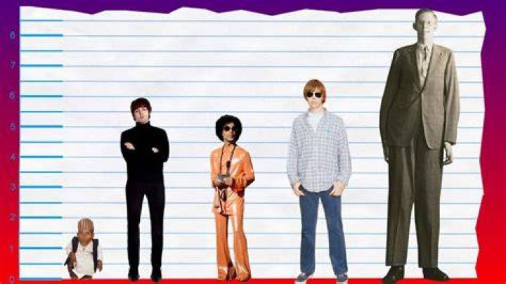 How Tall Is Paul McCartney of The Beatles? Height Comparison! YouTube