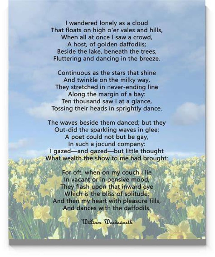 I Wandered Lonely As A Cloud Analysis by William Wordsworth Summary