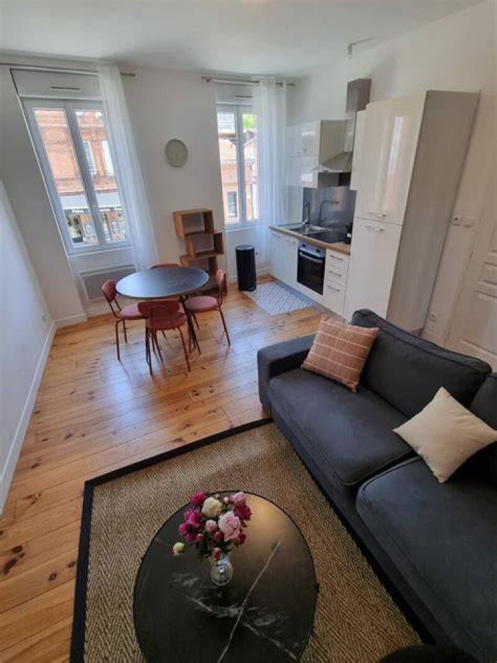 Location appartement Toulouse La situation des &eacute;tudiants