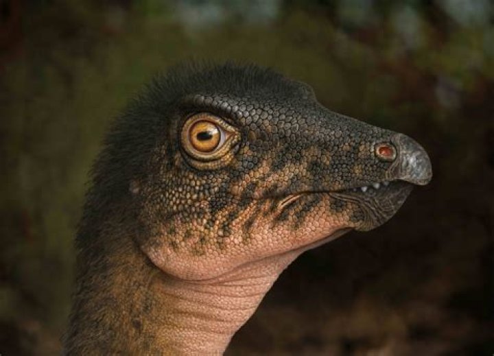 &lsquo;90 Million Year Old Beast&rsquo; Falls &lsquo;Dead&rsquo; While Chasing Dwayne Johnson&rsquo;s