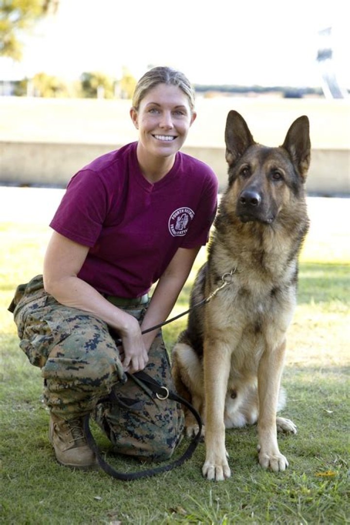 Megan Leavey Wiki Wikidata