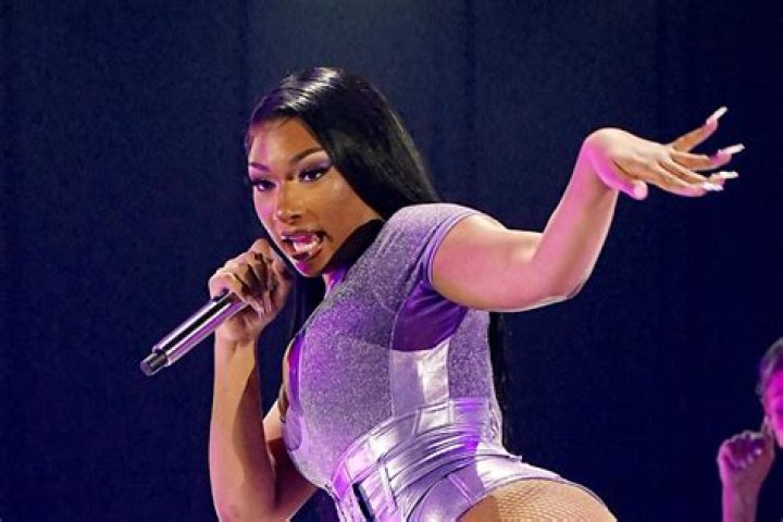 Megan Thee Stallion Returns to Instagram With Her Longest Natural Hair