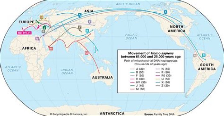 Migration MuseumTrent AlexanderArnold&rsquo;s family history reveals complex