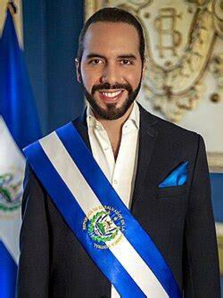 Nayib Bukele Vikipedi