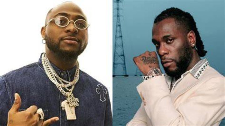 New cat saga Burna Boy, Davido rivalry divides Nigerians Daily Post