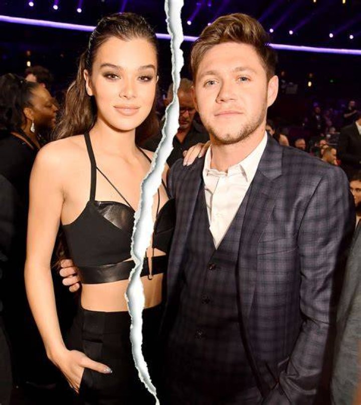 Niall Horan, Hailee Steinfeld Confirm Their Relationship With PDA