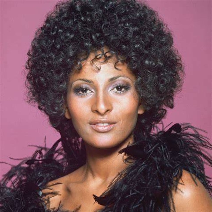 Pam Grier Net Worth 2023 Film Career Home Age Gf