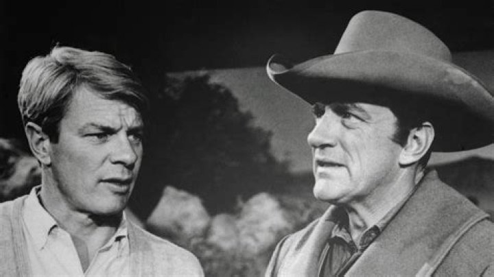 Peter Graves And James Arness