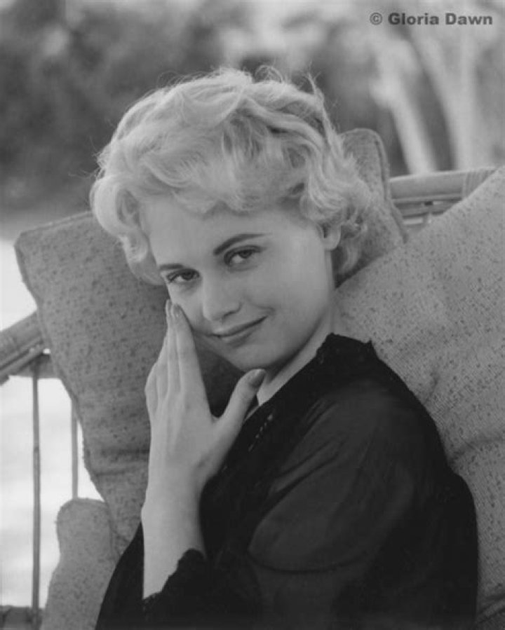 Pin on Gloria Dawn