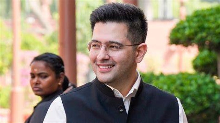 Raghav Chadha FauveFinlaec