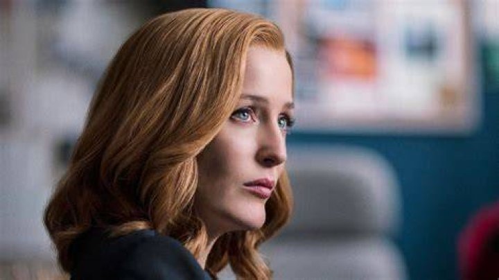 See Gillian Anderson's Lookalike Daughter All Grown Up Fame10