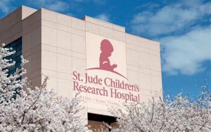 St Jude Hospital Scandal for Enlightening Revelations