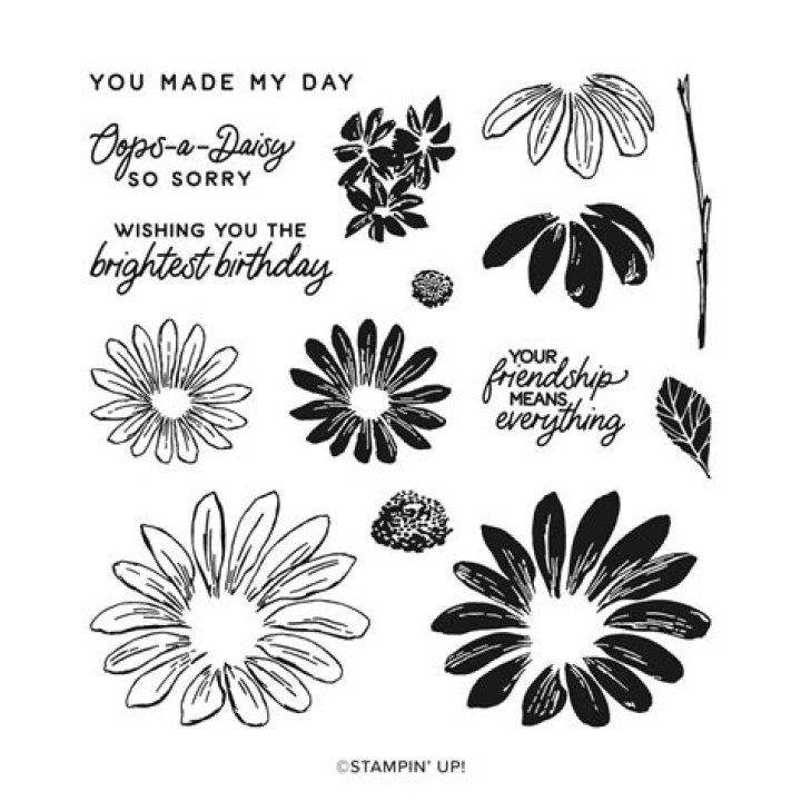 Stampin' Up Pun Intended 141804 Just Beecause Enclosure Card How to