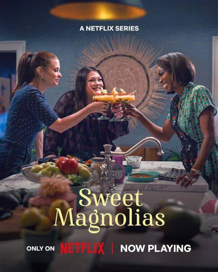 Sweet Magnolias on Netflix Cast Guide Jamie Lynn Spears , Chris Klein