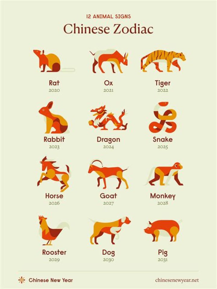 The 12 Chinese Zodiac Signs Explained 2024 Reader's Digest