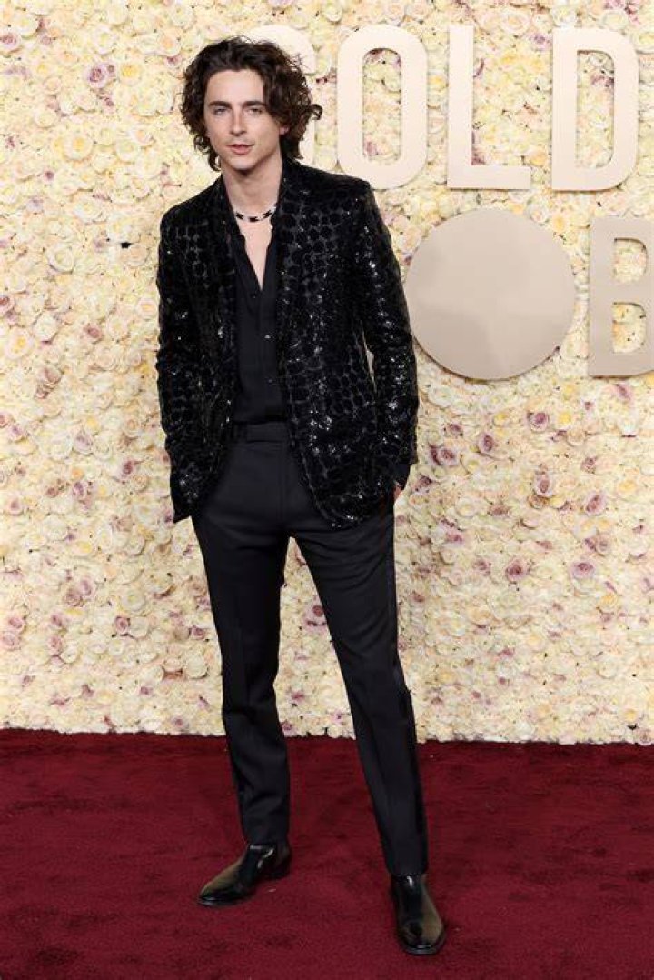 Timothée Chalamet's 10 Best Movies (According To Rotten Tomatoes)