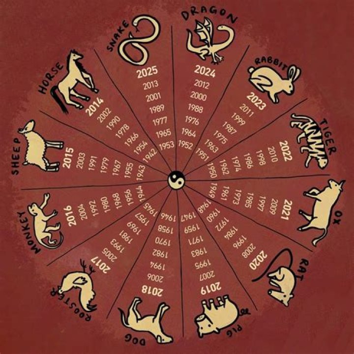 Trump Chinese Astrology Sign What does a Gemini Fire Dog mean?